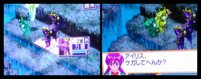 紅2.jpg